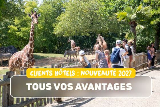 5 nouveaux avantages pour un séjour encore plus exceptionnel à Beauval en 2027